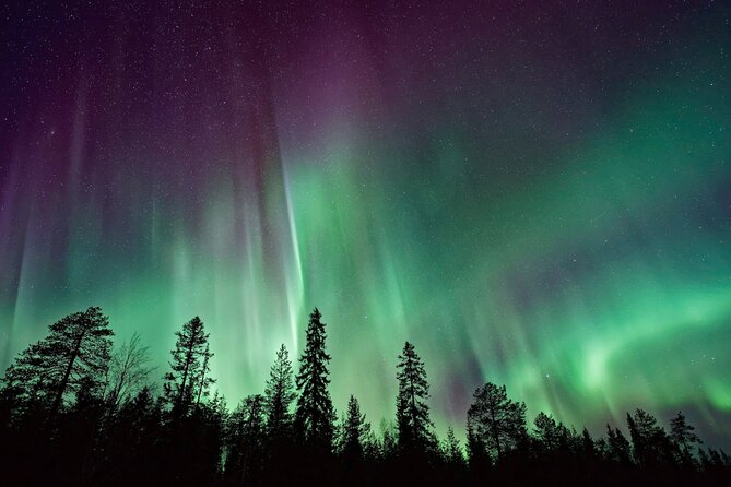 Rovaniemi: Private Aurora Tour With Guaranteed Sightings - Operator Information