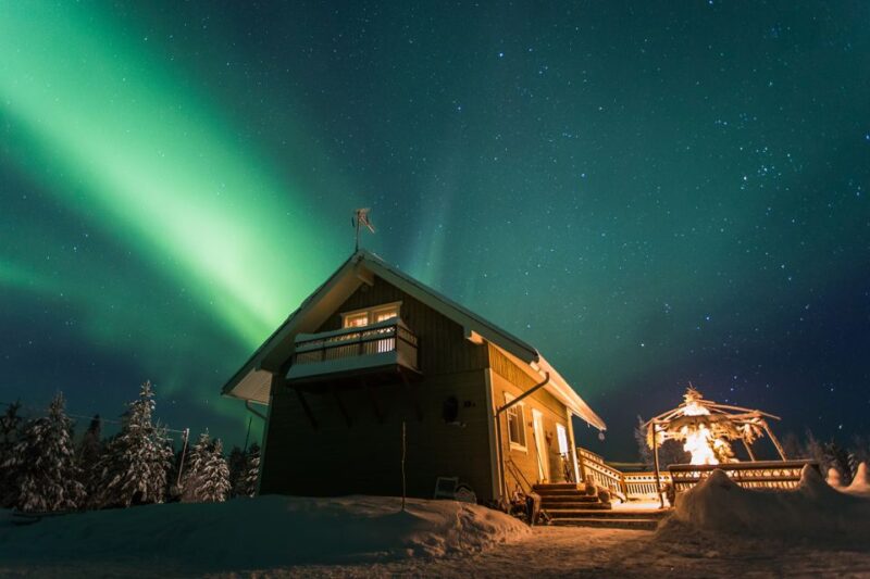 Rovaniemi: Private Forest Sauna and Northern Lights Tour - Tour Overview and Pricing