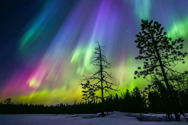 Rovaniemi: Private Forest Sauna and Northern Lights Tour - Important Information