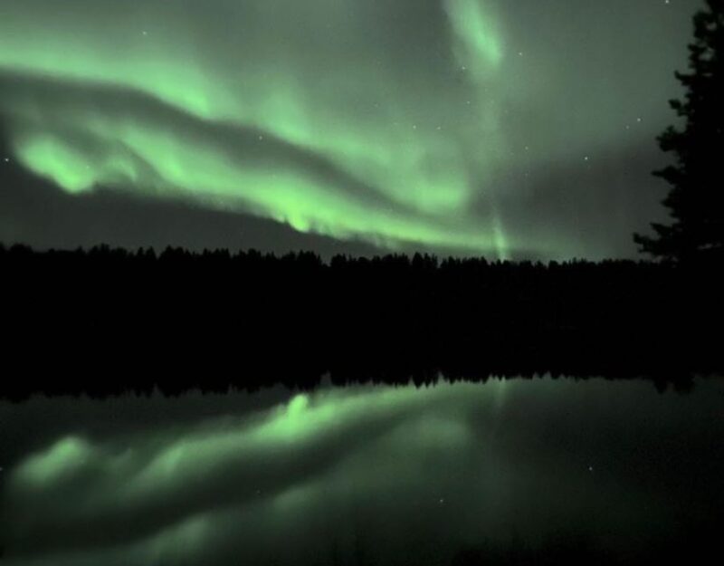 Rovaniemi : Private Midnight Aurora Borealis Expedition - Experience Highlights