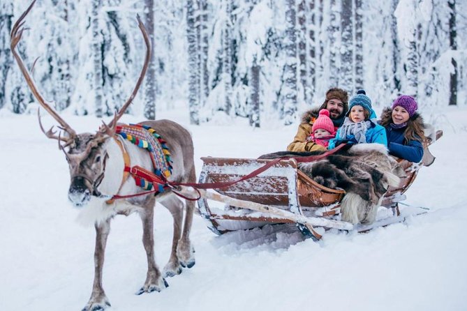 Rovaniemi Private Transfer From Rovaniemi (Rvn) Airport to City Centre - Customer Feedback and Ratings