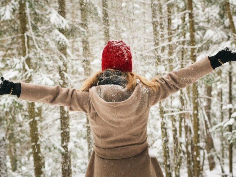 Rovaniemi: Private Winter Wonderland Photoshoot Tour - Tour Overview and Pricing