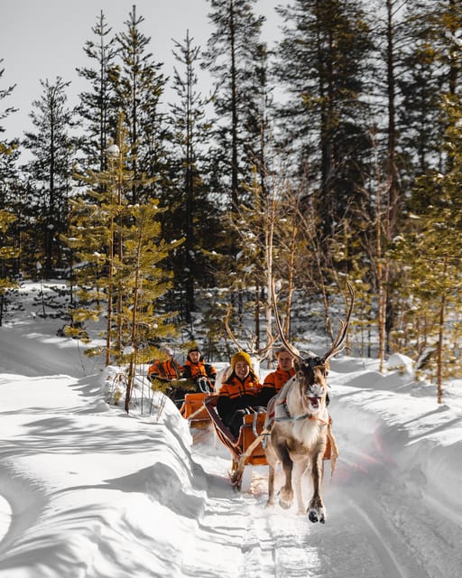 Rovaniemi: Pure Christmas Joy Half-Day Tour - Good To Know