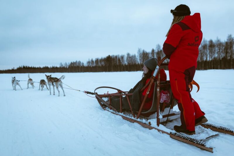 Rovaniemi: Pure Christmas Joy Half-Day Tour - Experience Highlights