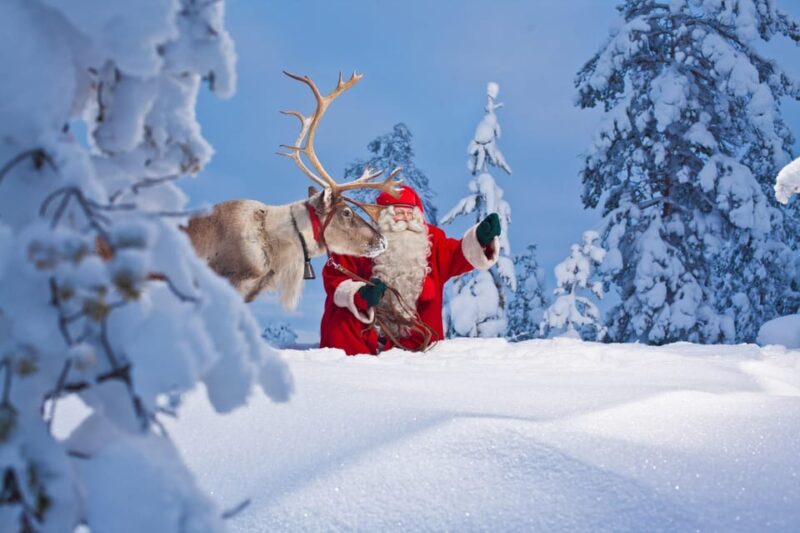 Rovaniemi: Pure Christmas Joy Half-Day Tour - Husky Sleigh Ride
