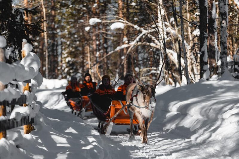 Rovaniemi: Pure Christmas Joy Half-Day Tour - Reindeer Sleigh Ride
