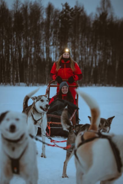 Rovaniemi: Pure Christmas Joy Half-Day Tour - Lunch at Log Manor