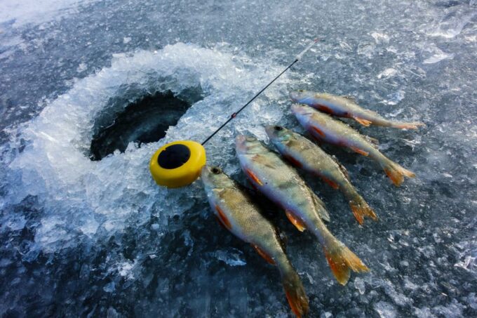 Rovaniemi: Quad Bike Ride and Ice Fishing - Customer Reviews