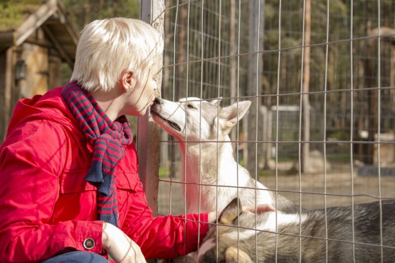 Rovaniemi: Quad Bike Safari, Reindeer & Husky Farm Visit - Inclusions and Logistics