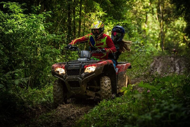 Rovaniemi: Quad Bike Wilderness Safari - Good To Know