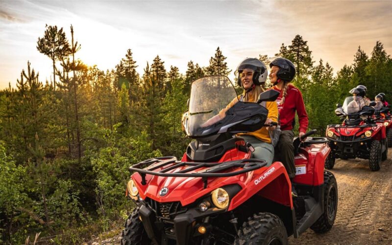 Rovaniemi: Quad Bike Wilderness Safari - Drivers License Requirement