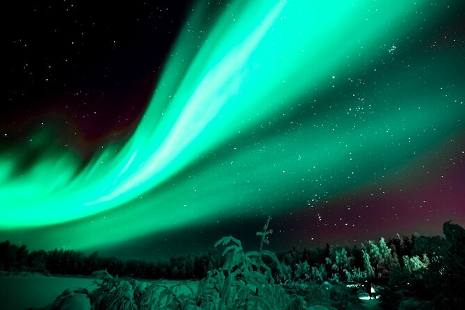 Rovaniemi: Reindeer Evening Safari Tour & 2.5 Km Sled Ride - Pickup Information