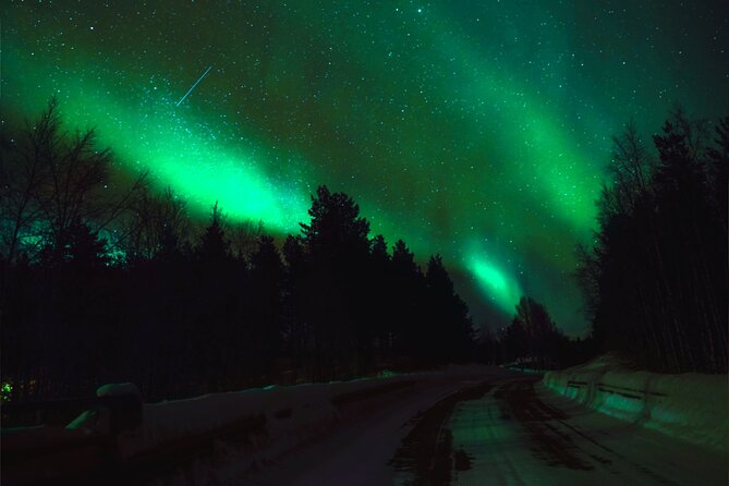 Rovaniemi: Reindeer Evening Safari Tour & 2.5 Km Sled Ride - Reindeer Sled Ride