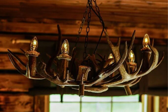 Rovaniemi: Reindeer Farm Visit in the Summer - Frequently Asked Questions