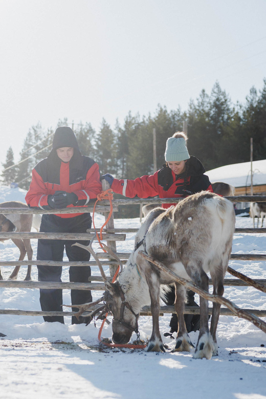 Rovaniemi: Reindeer Farm Visit With Sleigh Ride - Reindeer Sleigh Ride and Activities