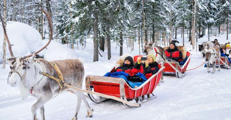 Rovaniemi: Reindeer Sleigh Ride With Hot Drink and Cookies - Experience Highlights