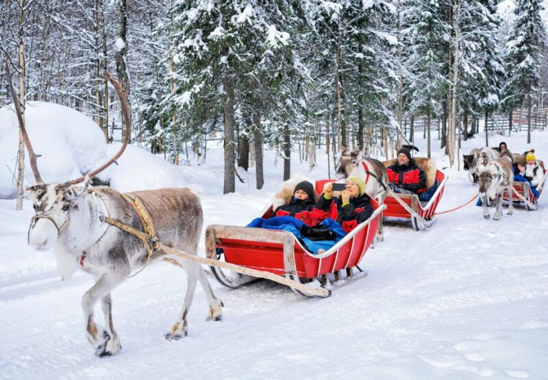 Rovaniemi: Reindeer Sleigh Ride With Hot Drink and Cookies - Visiting the Reindeer Farm