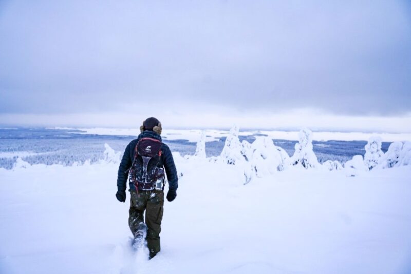 Rovaniemi: Riisitunturi National Park Day Trip With Lunch - Tour Overview and Details