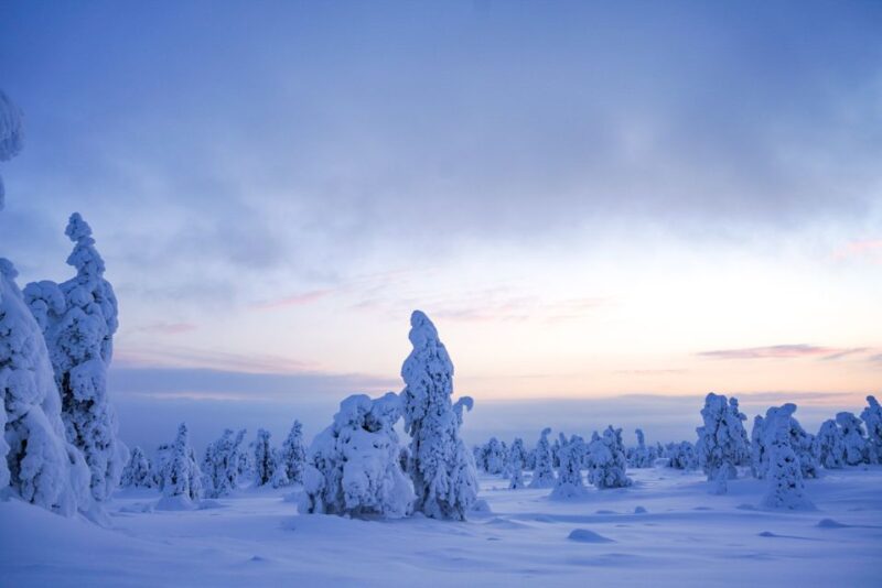 Rovaniemi: Riisitunturi National Park Day Trip With Lunch - Sustainable Travel Finland Badge