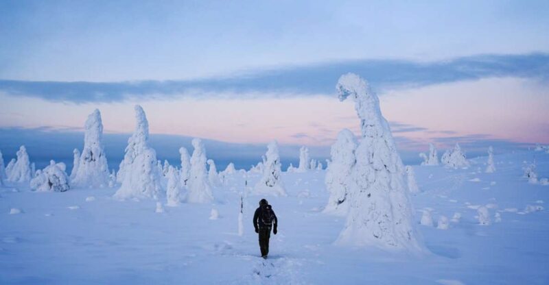Rovaniemi: Riisitunturi National Park Day Trip With Lunch - Pickup Information