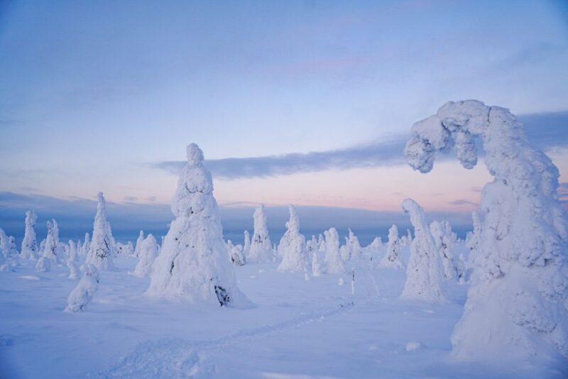 Rovaniemi: Riisitunturi National Park Day Trip With Lunch - Safety Guidelines