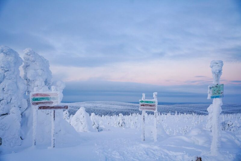Rovaniemi: Riisitunturi National Park Day Trip With Lunch - Customer Feedback