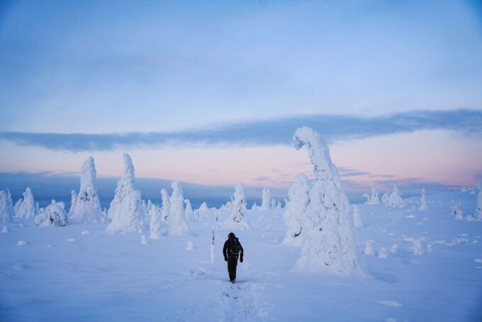 Rovaniemi: Riisitunturi National Park Day Trip With Lunch - Sum Up