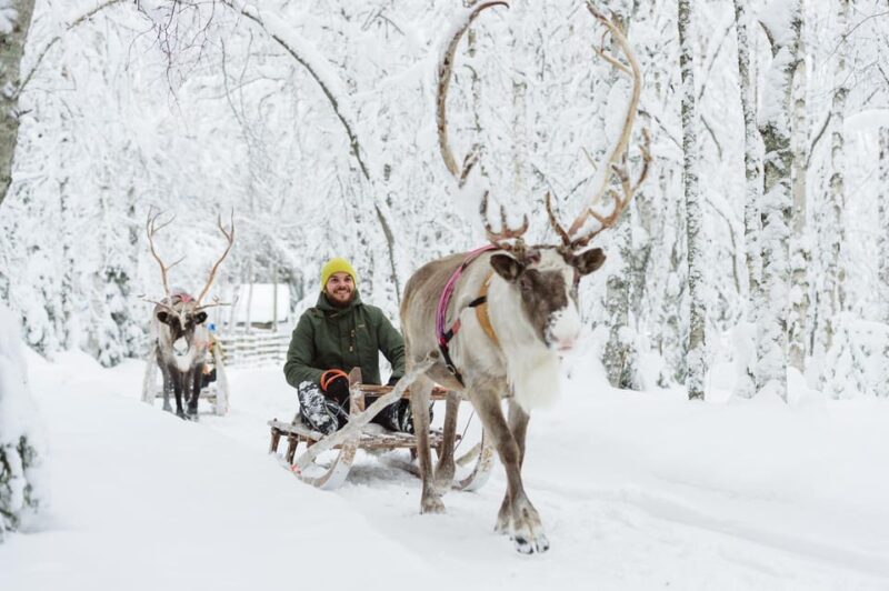Rovaniemi: Saami Reindeer Farm Visit & Sleigh Ride - Good To Know