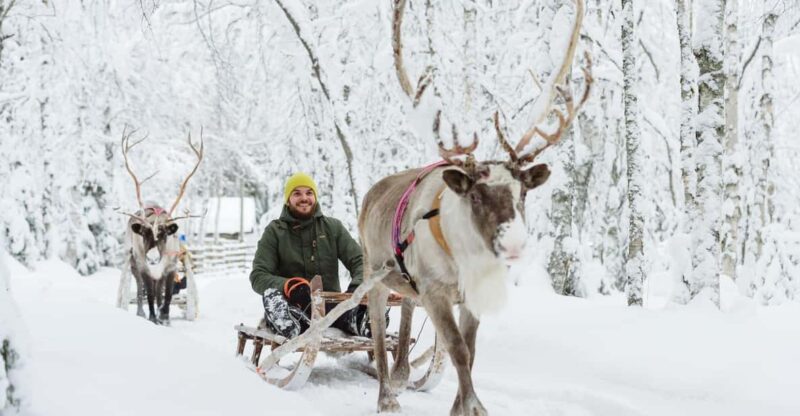 Rovaniemi: Saami Reindeer Farm Visit & Sleigh Ride - Reindeer Feeding and Pictures