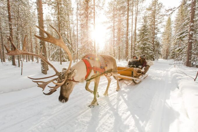 Rovaniemi: Saami Reindeer Farm Visit & Sleigh Ride - Cozy Lappish Kota Hut