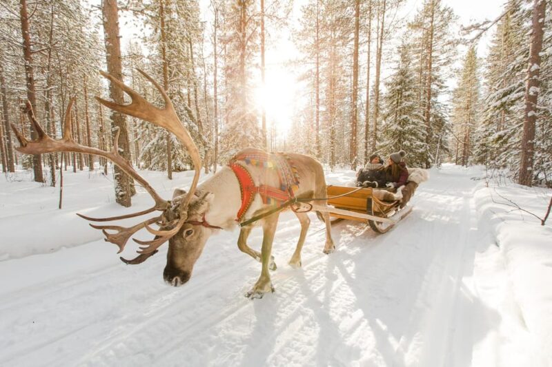 Rovaniemi: Santa Claus, Husky & Reindeer Sled Ride - Itinerary and Highlights