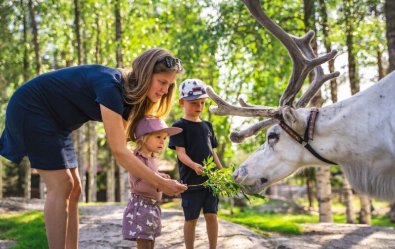Rovaniemi: Santa Claus Village, Husky Farm, Reindeer Farm - Visiting Husky Farm
