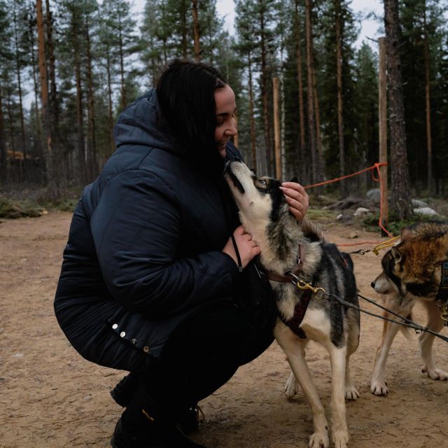 Rovaniemi: Santa Claus Village, Husky Farm, Reindeer Farm - Sum Up
