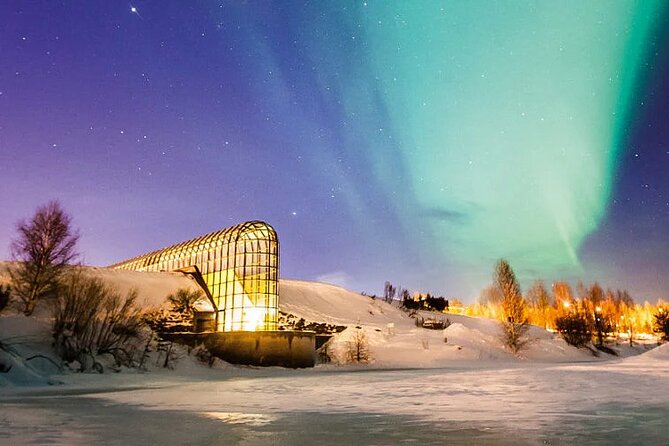 Rovaniemi Santa Claus Village Husky Reindeer Farm Arctic Museum - Reindeer and Husky Sleigh Rides
