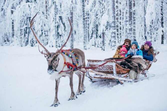 Rovaniemi Santa Claus Village Husky Reindeer Farm Arctic Museum - Transportation and Pick-up Details