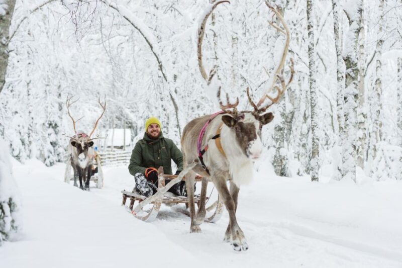 Rovaniemi: Santa Claus Village, Husky & Reindeer Sled Ride - Inclusions