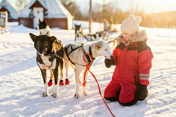 Rovaniemi Santa Claus Village, Reindeer and Husky Tour - Reindeer Sled Ride Adventure