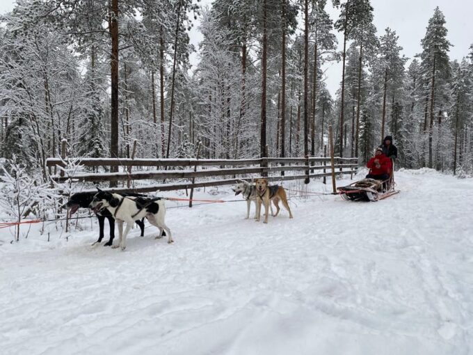 Rovaniemi: Santa Claus Village Tour Huskies & Reindeer Ride - Important Notes