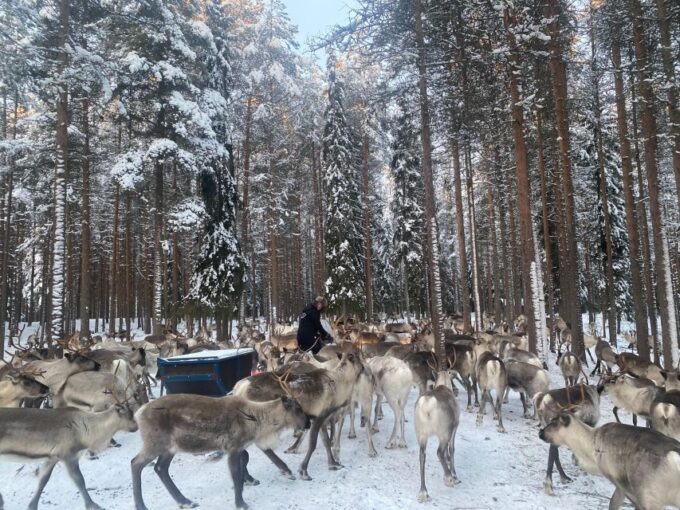 Rovaniemi: Santa Claus Village Tour Huskies & Reindeer Visit - Sum Up