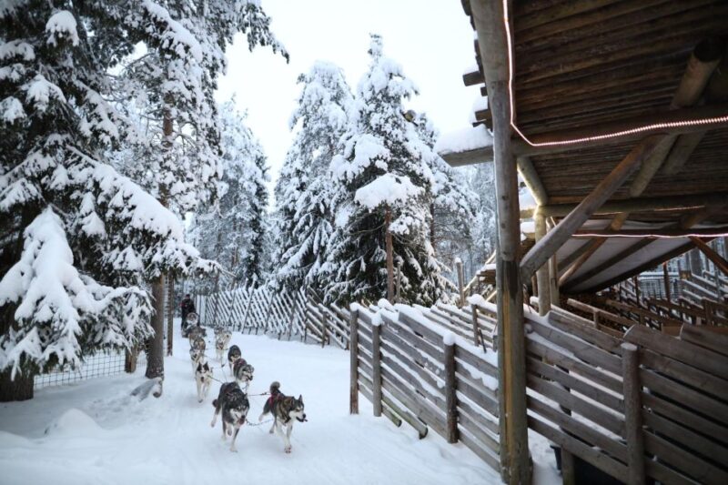 Rovaniemi: Santa Claus Village Tour & Reindeer & Husky Ride - Important Information