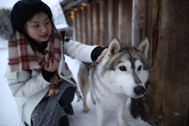 Rovaniemi: Santa Claus Village Tour & Reindeer & Husky Ride - Reindeer Sleigh Ride