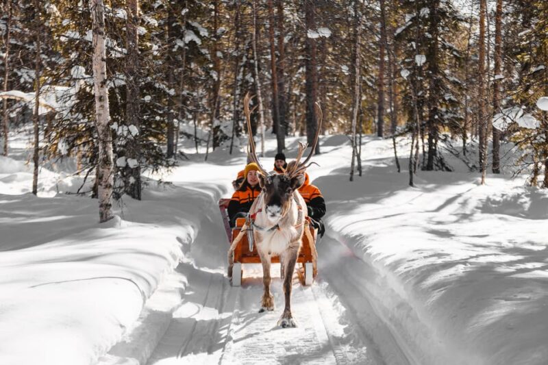 Rovaniemi: Santa Claus Village Tour, Reindeer Ride and Lunch - Itinerary Details