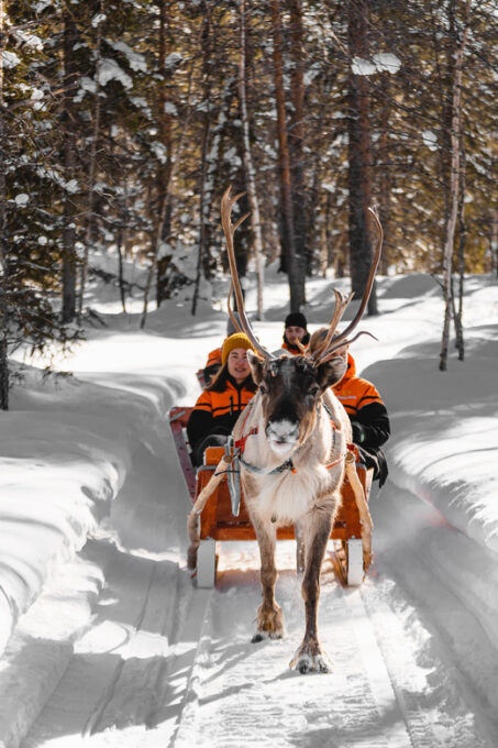 Rovaniemi: Santa Claus Village Tour, Reindeer Ride and Lunch - Reindeer Farm and Sled Ride