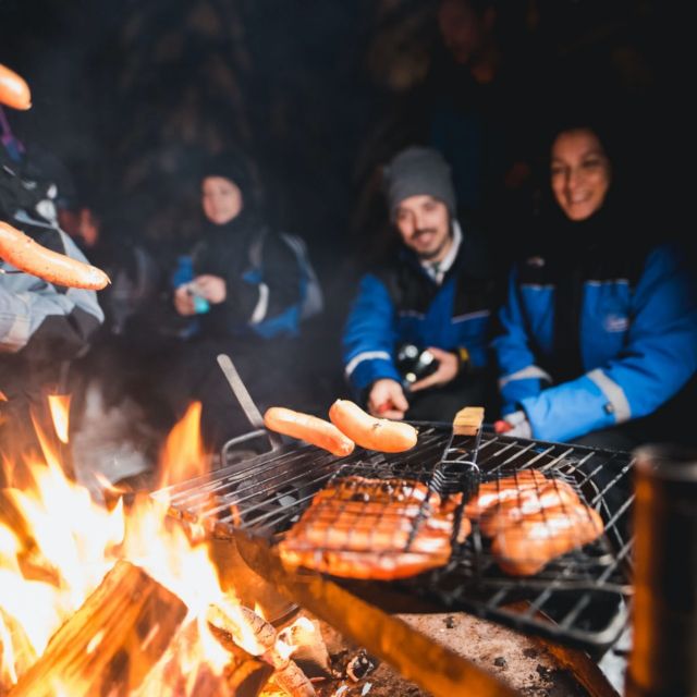 Rovaniemi: Search for Northern Lights Snowmobiling Trip - Participant Requirements and Safety