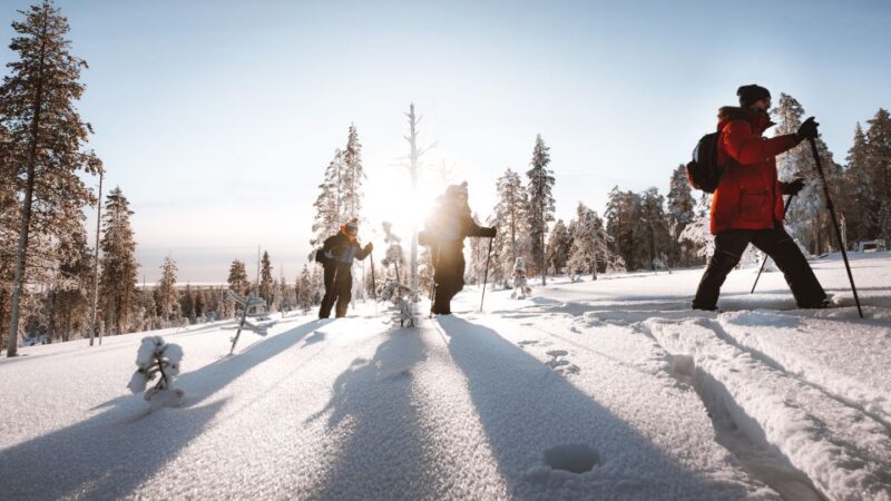 Rovaniemi: Ski Trekking Safari in Lapland - Stunning Winter Landscapes