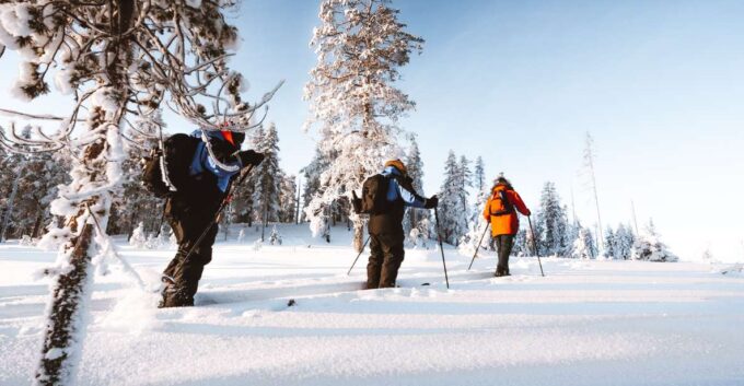 Rovaniemi: Ski Trekking Safari in Lapland - Customer Feedback and Reviews
