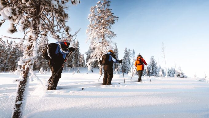 Rovaniemi: Ski Trekking Safari in Lapland - Frequently Asked Questions