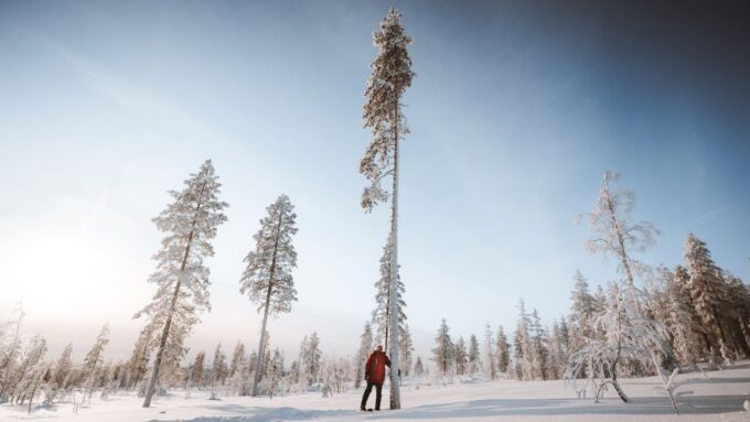 Rovaniemi: Ski Trekking Safari in Lapland - Sum Up