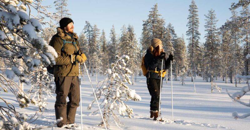 Rovaniemi: Small-group Ski Trek to the Wilderness - Important Information