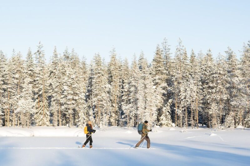 Rovaniemi: Small-group Ski Trek to the Wilderness - Customer Reviews